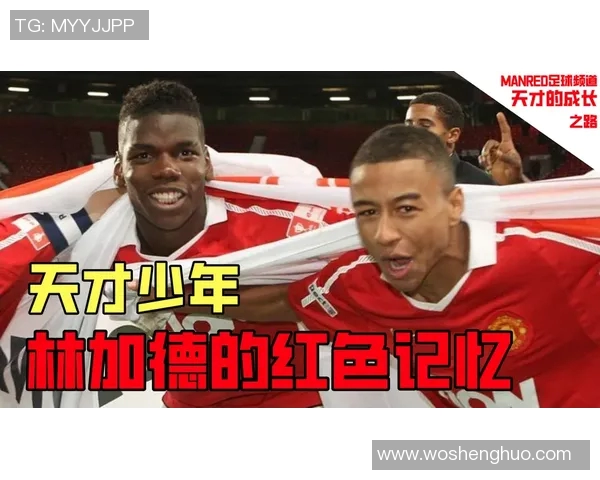 总决赛背后的故事:从少年到巨星之路