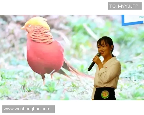 数据模型解析:武磊在比赛中的胜率预测与潜力分析